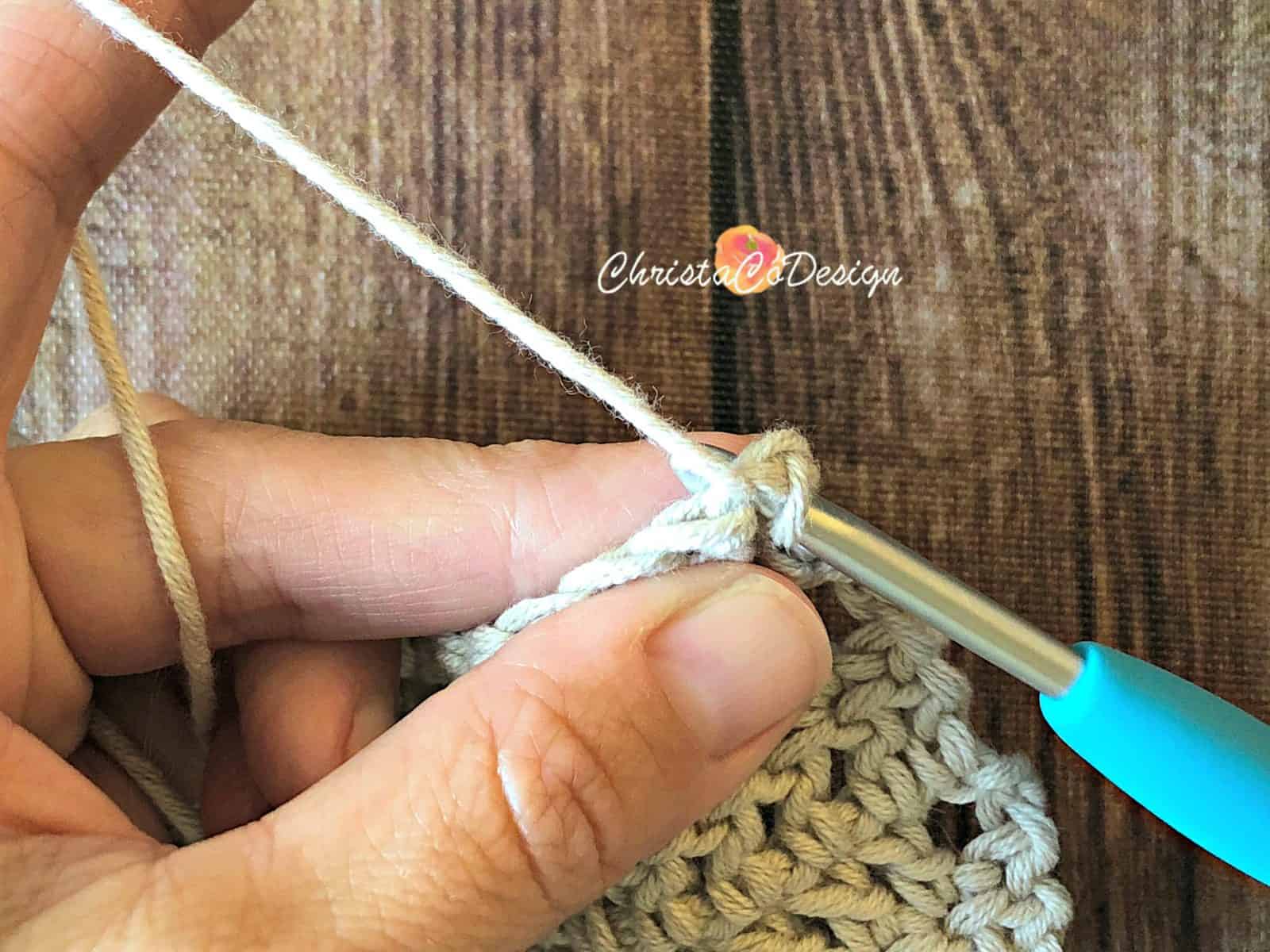 Insert hook in first stitch.
