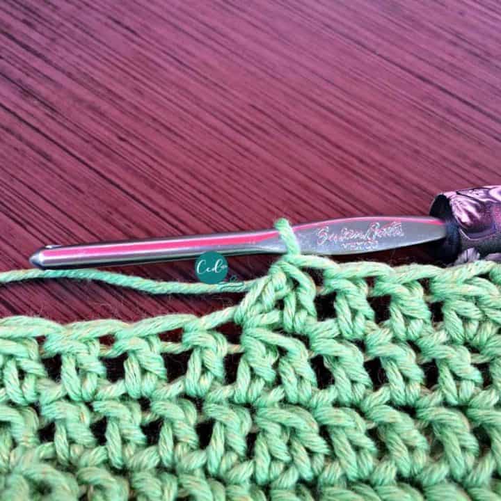 Double crochet decrease in green stitches.