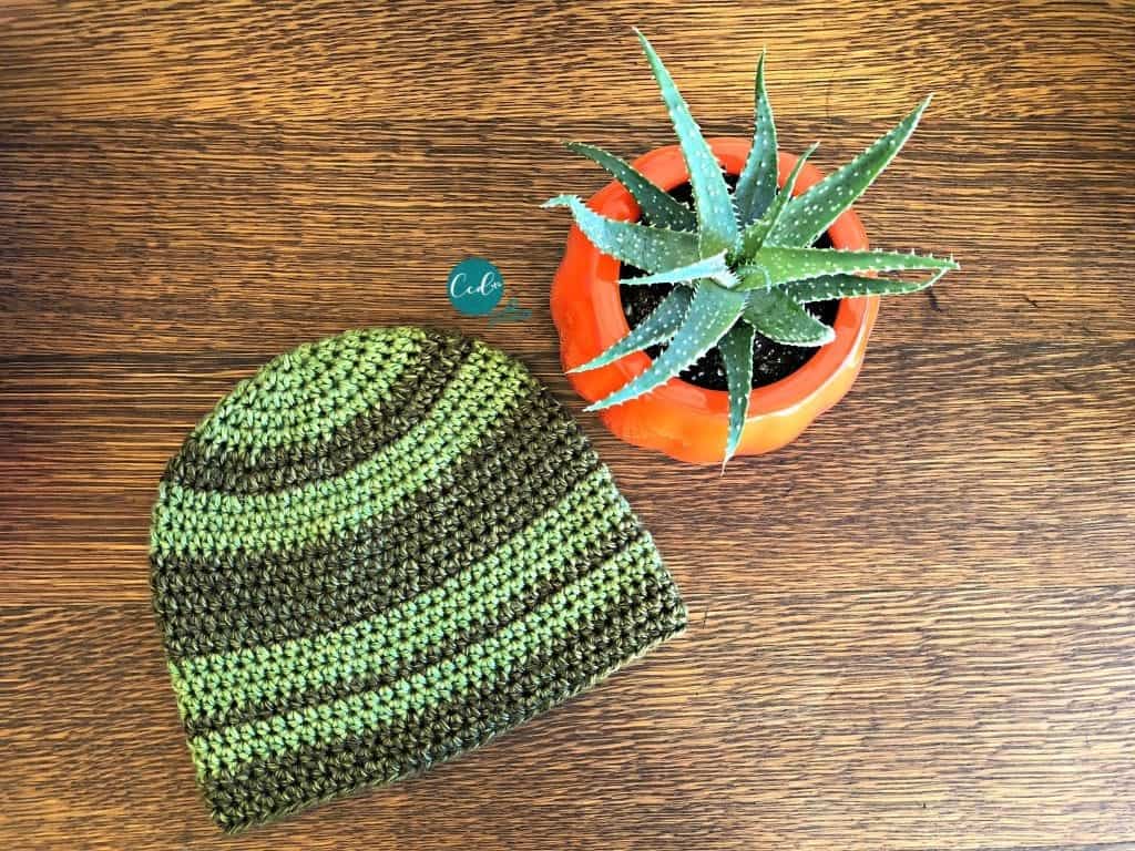 picture of green striped crochet beanie flat with succulent