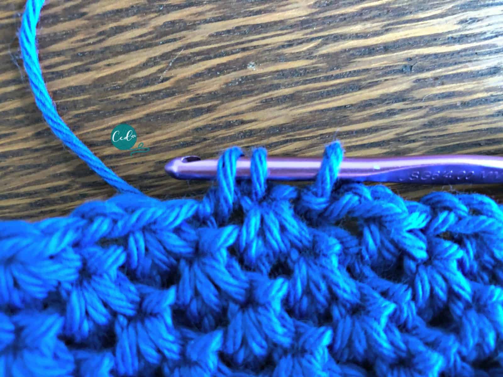 3 loops on hook from first two stitches.