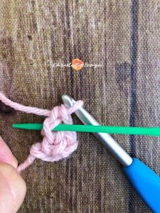 yarn bowl, pink yarn on crochet hook, fsc