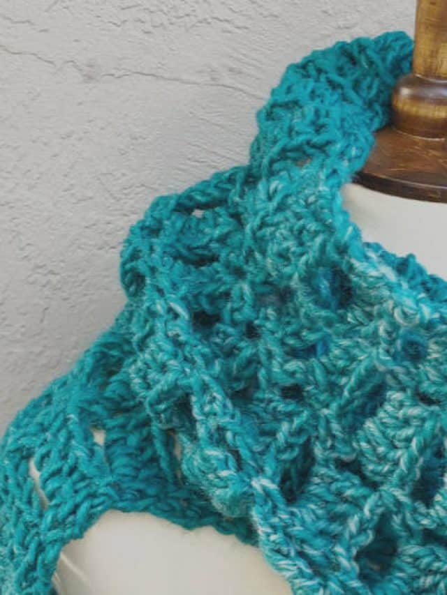 Coziest Scarf from 1 Skein!