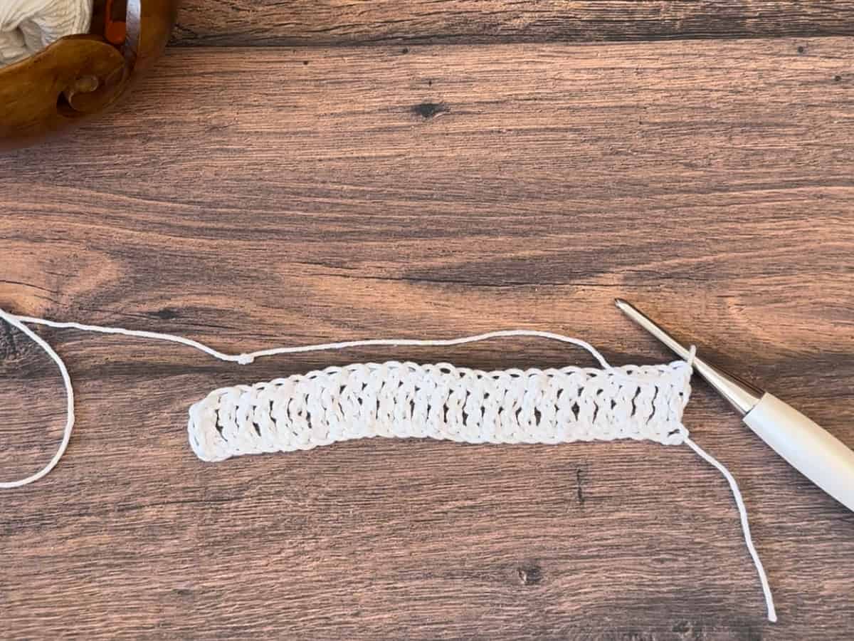 Row of treble crochet in white.