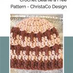 picture of pin image of chunky beanie with text free crochet pattern