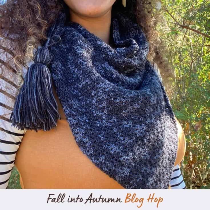 Image for The Raven Shawl: Beginner Friendly Crochet Pattern