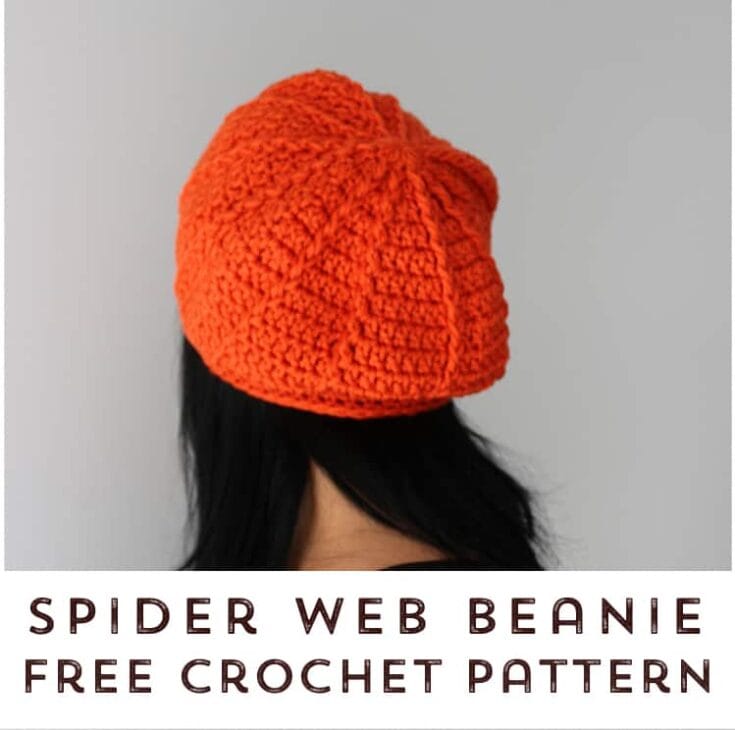 Image for Spider Web Beanie Free Crochet Pattern