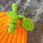 Close up of crochet hat topped with green stem, leaf and vine.
