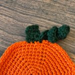 Close up of stem and vine for pumpkin.