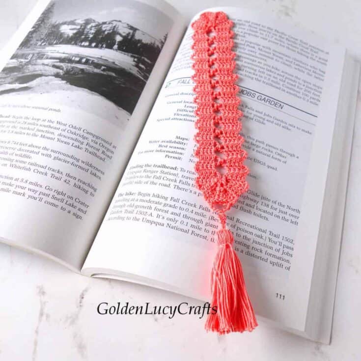 Crochet coral bookmark with tassel on book.