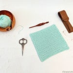 Mint colored yarn and dishcloth layer out with hook, scissors and case.