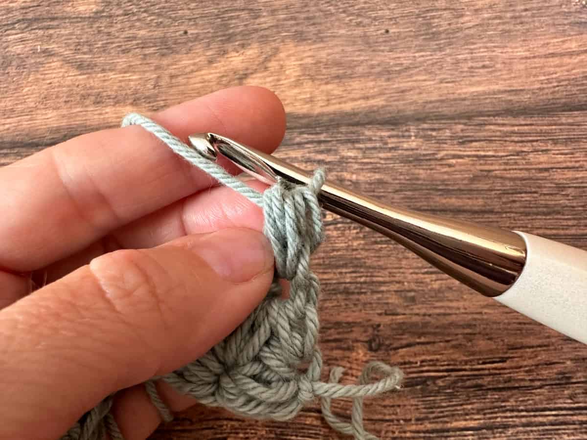 Hold yarn and pull through.