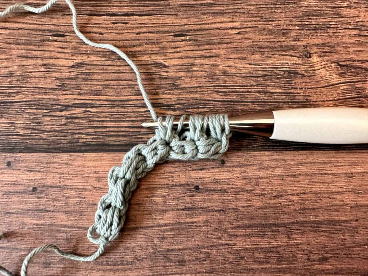 13 loops on hook from 3 held puff stitches.
