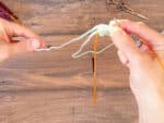 How To Knit Magic Loop Step By Step Knitting Tutorial - ChristaCoDesign