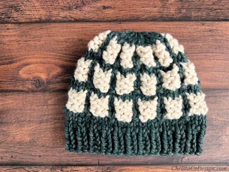 Chunky knit hat in green and white blocks.